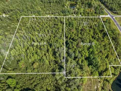 Parcel B Yates, Copemish, MI 49625 photo 10