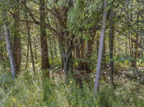 Parcel B Yates, Copemish, MI 49625 photo 7