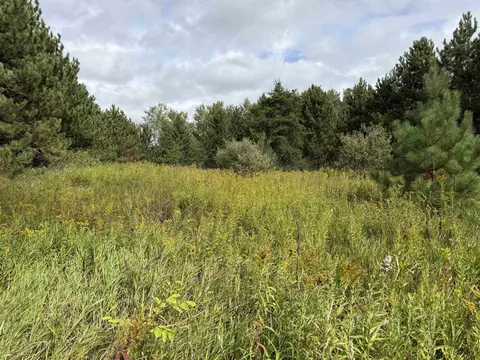 V/l 185th, Leroy, MI 49655