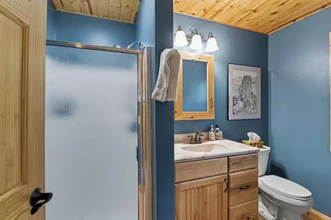 12079 Cold Riv, Fife Lake, MI 49633 photo 21