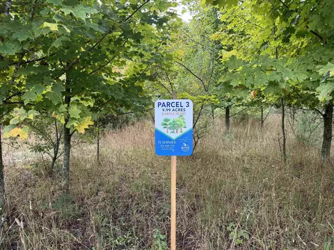 Parcel 3 / 4 E Darga, Cedar, MI 49621 photo 12