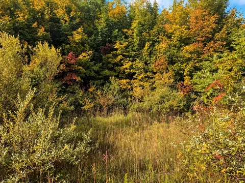 Parcel 3 / 4 E Darga, Cedar, MI 49621 photo 8