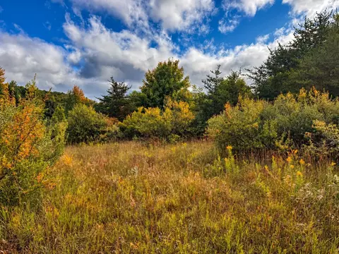 Parcel 3 / 4 E Darga, Cedar, MI 49621 photo 4
