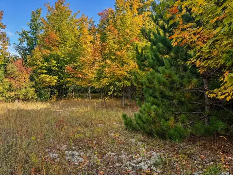 Parcel 3 / 4 E Darga, Cedar, MI 49621 photo 19
