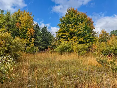 Parcel 3 / 4 E Darga, Cedar, MI 49621 photo 18