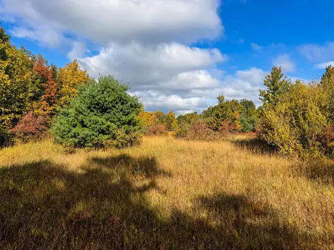 Parcel 3 / 4 E Darga, Cedar, MI 49621 photo 3