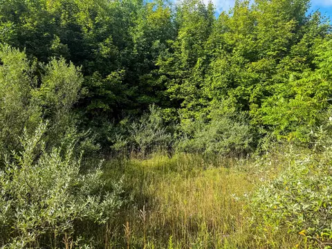 Parcel 3 / 4 E Darga, Cedar, MI 49621 photo 21