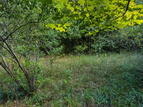 Parcel 3 / 4 E Darga, Cedar, MI 49621 photo 11