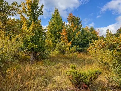 Parcel 3 / 4 E Darga, Cedar, MI 49621 photo 14