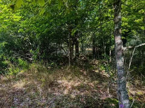 Parcel 3 / 4 E Darga, Cedar, MI 49621 photo 5