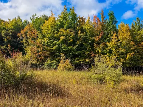 Parcel 3 / 4 E Darga, Cedar, MI 49621 photo 9