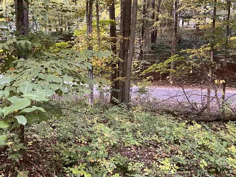 lot71 Birch Vw, Lake Ann, MI 49650