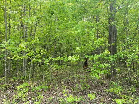 fribourg LOT : 421, Reed City, MI 49677