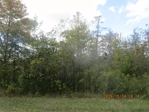 00 Ausable Pt #00 GOWEN RD, East Tawas, MI 48730