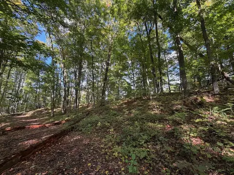 Unit 119 Legend #: 119, Bellaire, MI 49615