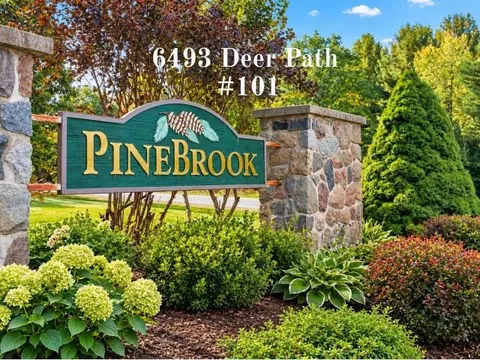 6493 Deer, Bellaire, MI 49615