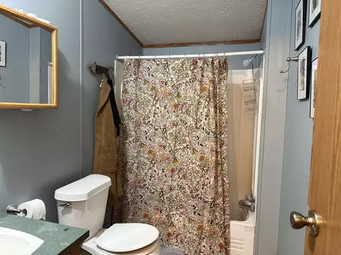 Bath - 9899 E 18 12, Manton, MI 49663 photo 3 of 3