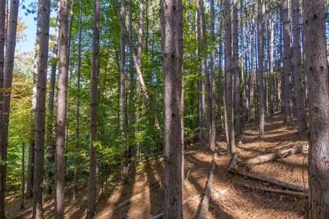 0000 W Darga, Cedar, MI 49621 photo 18