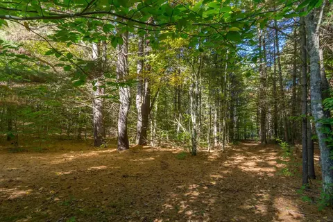 0000 W Darga, Cedar, MI 49621 photo 10