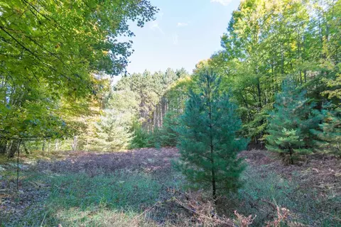 0000 W Darga, Cedar, MI 49621 photo 13