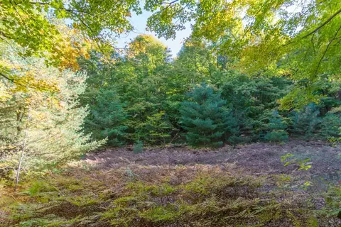 0000 W Darga, Cedar, MI 49621 photo 12