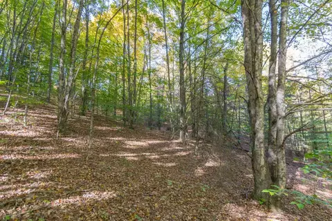 0000 W Darga, Cedar, MI 49621 photo 15