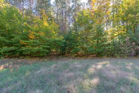 0000 W Darga, Cedar, MI 49621 photo 3