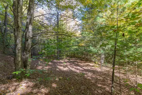 0000 W Darga, Cedar, MI 49621 photo 14