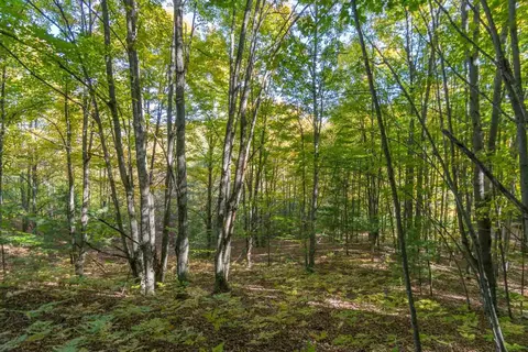 0000 W Darga, Cedar, MI 49621 photo 17