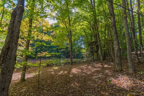0000 W Darga, Cedar, MI 49621 photo 11