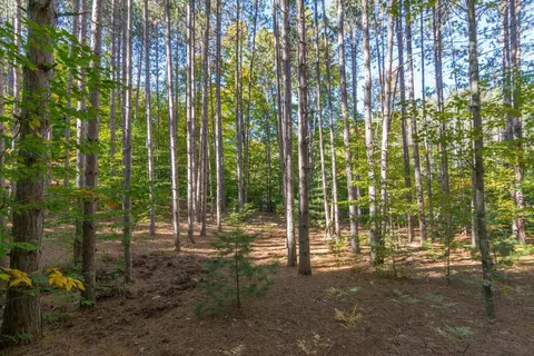 0000 W Darga, Cedar, MI 49621 photo 9