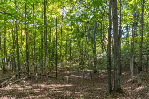 0000 W Darga, Cedar, MI 49621 photo 16