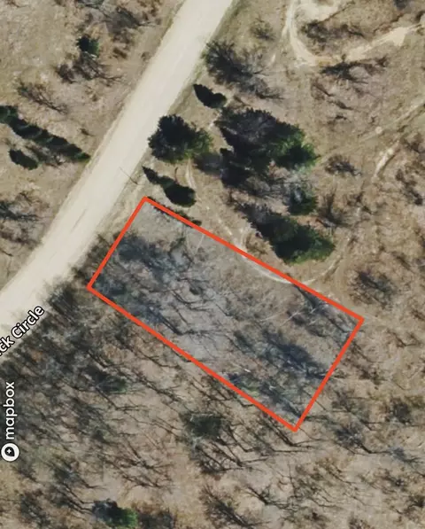 lot645 Renwick #LOT : 645, Mancelona, MI 49659