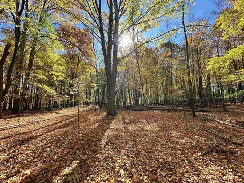 Ua Timberline, Thompsonville, MI 49683