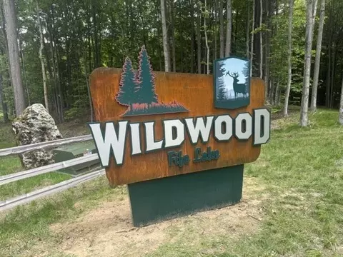 5593 SW Old Oak #LOT 4 : 4, Fife Lake, MI 49633