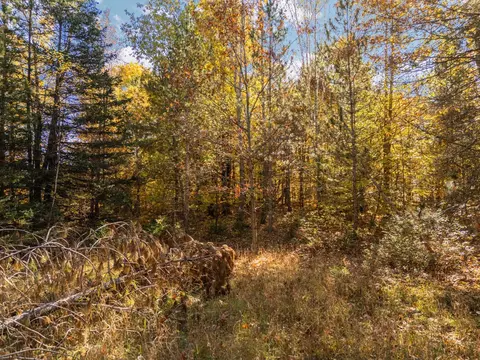 00 Litzen, Copemish, MI 49625 photo 15