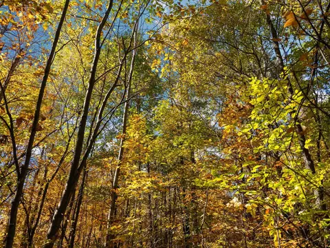 00 Litzen, Copemish, MI 49625 photo 24
