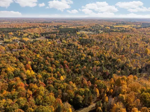 00 Litzen, Copemish, MI 49625 photo 10