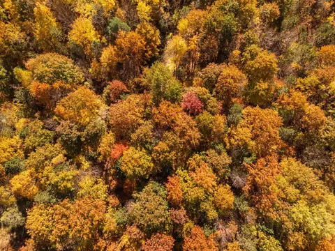 00 Litzen, Copemish, MI 49625 photo 7