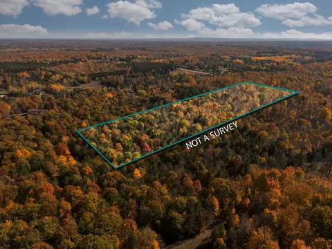 00 Litzen, Copemish, MI 49625 photo 5