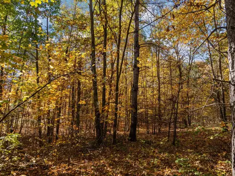 00 Litzen, Copemish, MI 49625 photo 21
