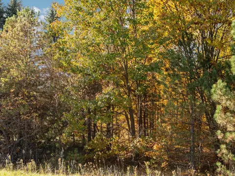 00 Litzen, Copemish, MI 49625 photo 28