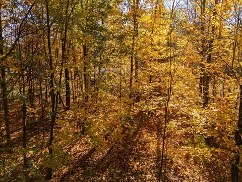 00 Litzen, Copemish, MI 49625 photo 11