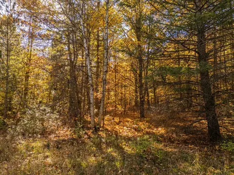00 Litzen, Copemish, MI 49625 photo 14