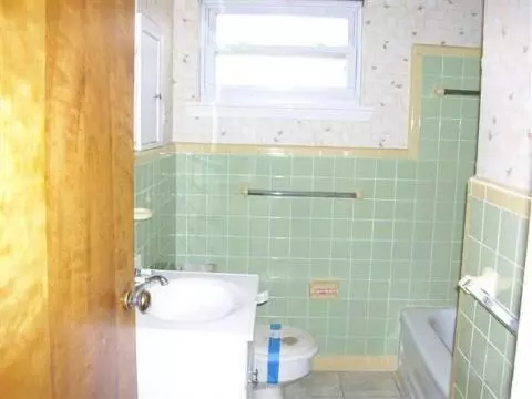 217 Maple, Tecumseh, MI 49286 photo 8