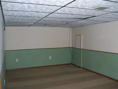 217 Maple, Tecumseh, MI 49286 photo 9