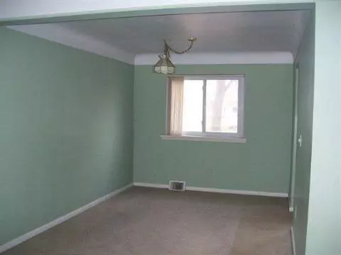 217 Maple, Tecumseh, MI 49286 photo 3