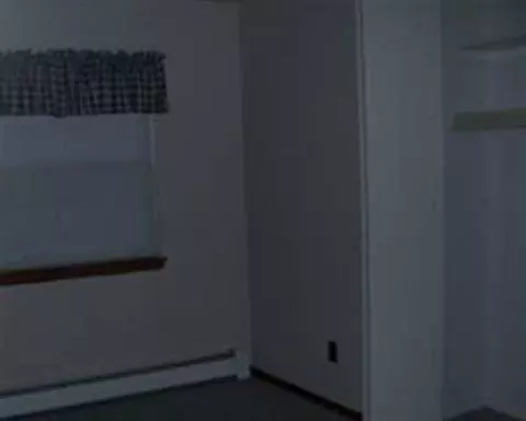 3847 Kaiser, Tecumseh, MI 49286 photo 3
