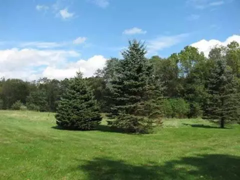7750 King, Spring Arbor, MI 49283 photo 3