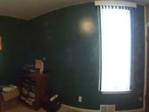 267 Douglas, Jackson, MI 49203 photo 6